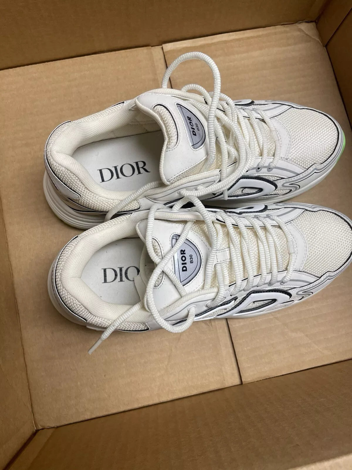 Dior B30 shoes