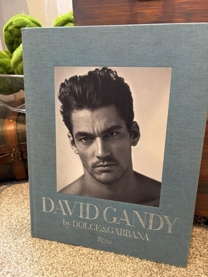 David Gandy Dolce &amp; Gabbana Big Blue Book