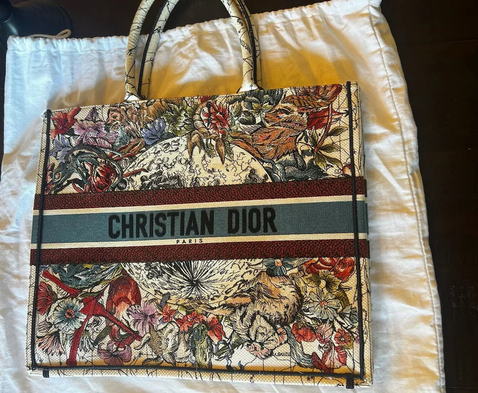 Dior Large Book Tote